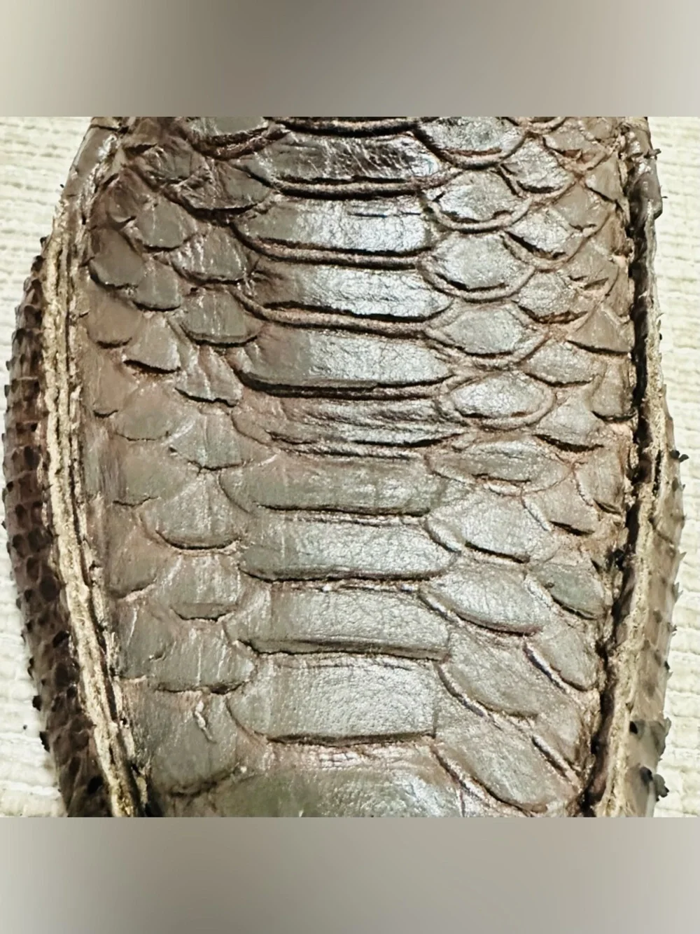 COACH Gary Men's Genuine Python Snakeskin Driving Loafers Shoes Brown 8,5 D - Picture 13 of 13